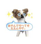 福田さん。season2（個別スタンプ：9）