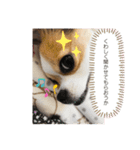 福田さん。season2（個別スタンプ：10）