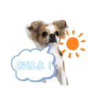 福田さん。season2（個別スタンプ：12）