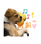 福田さん。season2（個別スタンプ：14）