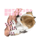 福田さん。season2（個別スタンプ：15）