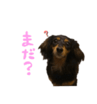 アル様part2（個別スタンプ：1）