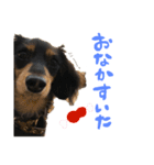 アル様part2（個別スタンプ：6）