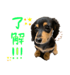アル様part2（個別スタンプ：11）