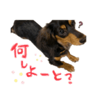 アル様part2（個別スタンプ：12）
