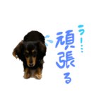 アル様part2（個別スタンプ：16）