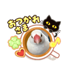 いちごくんは白文鳥（個別スタンプ：8）