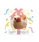 いちごくんは白文鳥（個別スタンプ：12）