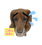 きなこたろももぽぽぽんずもっぷ（個別スタンプ：2）