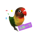 きなこたろももぽぽぽんずもっぷ（個別スタンプ：4）