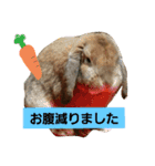 きなこたろももぽぽぽんずもっぷ（個別スタンプ：8）