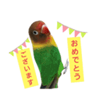 きなこたろももぽぽぽんずもっぷ（個別スタンプ：12）