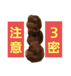 きなこたろももぽぽぽんずもっぷ（個別スタンプ：13）