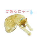 猫、犬…時々ボク2（個別スタンプ：2）