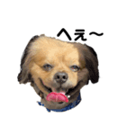 猫、犬…時々ボク2（個別スタンプ：6）