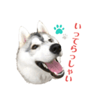 よるあさ3-あいさつ編-（個別スタンプ：2）