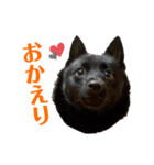 よるあさ3-あいさつ編-（個別スタンプ：5）