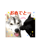 よるあさ3-あいさつ編-（個別スタンプ：6）