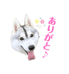 よるあさ3-あいさつ編-（個別スタンプ：11）