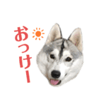 よるあさ3-あいさつ編-（個別スタンプ：15）
