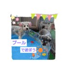 ルーク＆サラの夏（個別スタンプ：3）