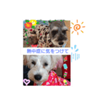 ルーク＆サラの夏（個別スタンプ：7）
