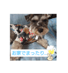 ルーク＆サラの夏（個別スタンプ：8）