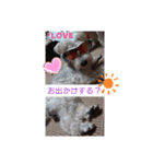 ルーク＆サラの夏（個別スタンプ：12）
