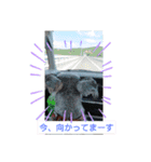 ルーク＆サラの夏（個別スタンプ：14）