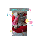 ルーク＆サラの夏（個別スタンプ：16）