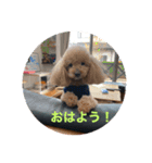 エルモとウラン（個別スタンプ：3）