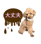 御意！うちの犬です。（個別スタンプ：2）