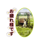 御意！うちの犬です。（個別スタンプ：10）