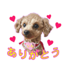 御意！うちの犬です。（個別スタンプ：12）