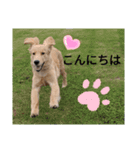 eひなまつりg2（個別スタンプ：3）