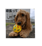 eひなまつりg2（個別スタンプ：4）