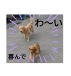 eひなまつりg2（個別スタンプ：8）