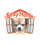 ふーちゃんスタンプ0701（個別スタンプ：5）