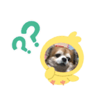 ふーちゃんスタンプ0701（個別スタンプ：6）