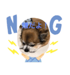 ふーちゃんスタンプ0701（個別スタンプ：8）