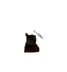 黒猫のおはぎだよ（個別スタンプ：6）