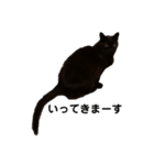 黒猫のおはぎだよ（個別スタンプ：8）