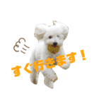 愛しのしえるちゃん（個別スタンプ：2）