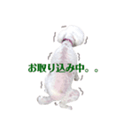 愛しのしえるちゃん（個別スタンプ：3）
