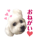 愛しのしえるちゃん（個別スタンプ：6）