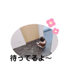 うちのあおちゃん。  ⑧（個別スタンプ：26）