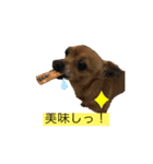 ウチのソラさん2（個別スタンプ：7）