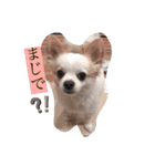 Rintaro and Ryu's stamp！！（個別スタンプ：8）