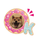 柴犬豆ちゃん（個別スタンプ：5）