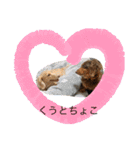 【ダックス×カニヘン】くうちょこスタンプ（個別スタンプ：40）
